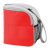 Cooler Bag
