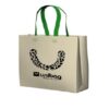 Bolsa Reutilizable modelo Boutique Grande